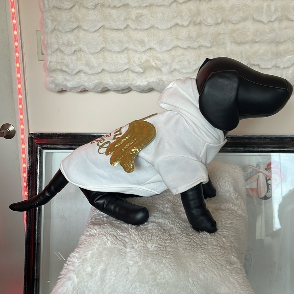Spooky night little angle costume for dogs NWOT so cute good and white and wings